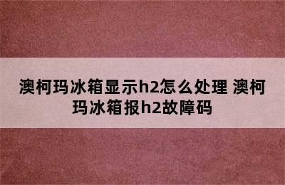 澳柯玛冰箱显示h2怎么处理 澳柯玛冰箱报h2故障码